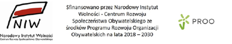 finansowanie wdrożenia strony www - logotypy sponsorów